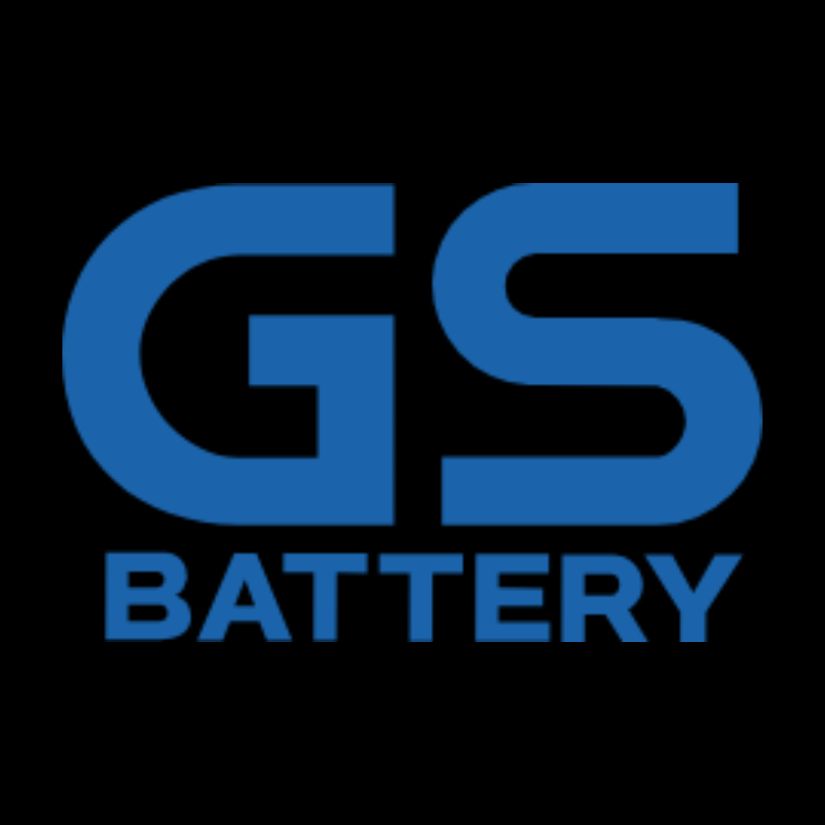 gs battery